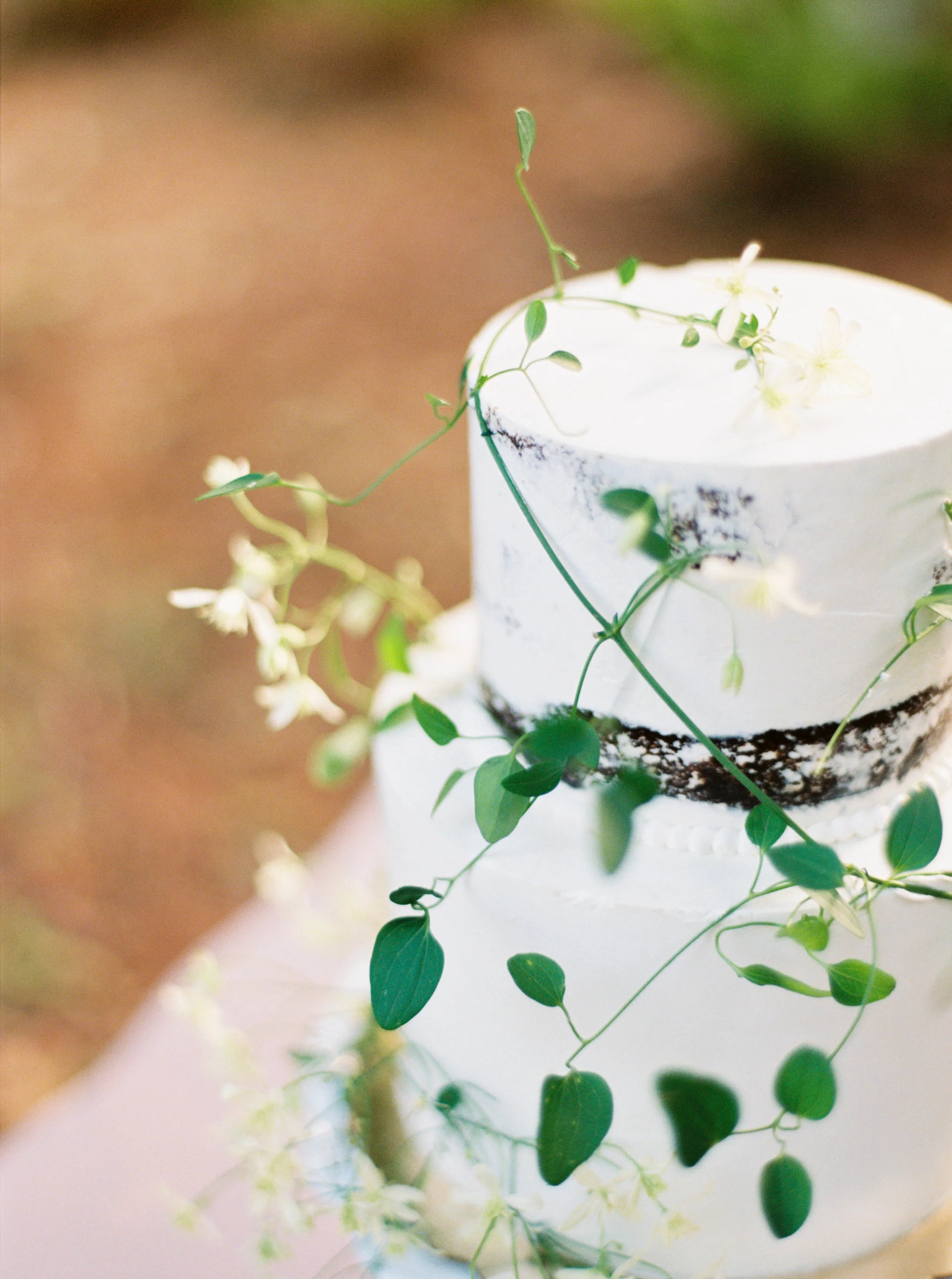 SCP-WoodlandWedding-148.JPG