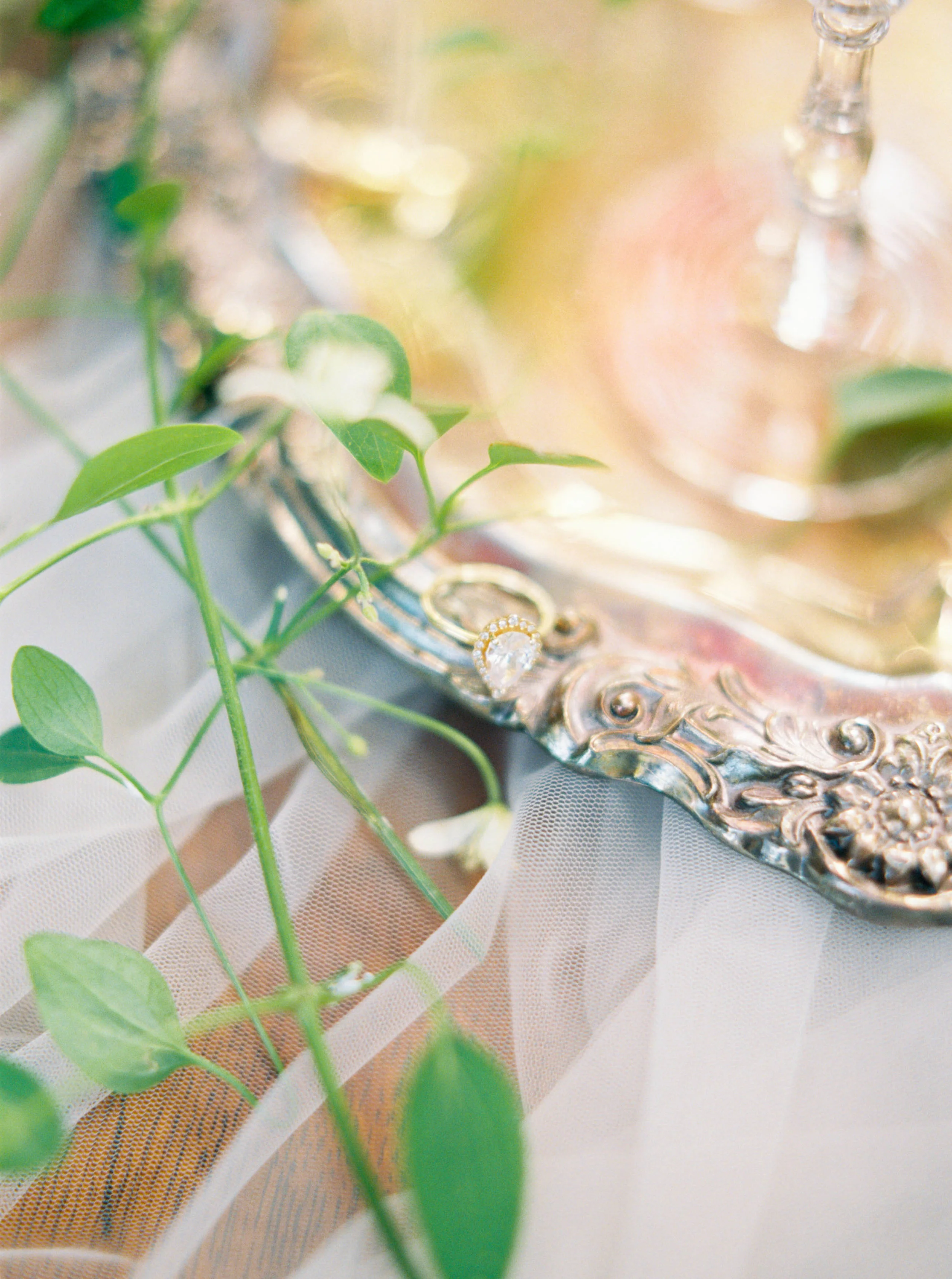 SCP-WoodlandWedding-103.JPG