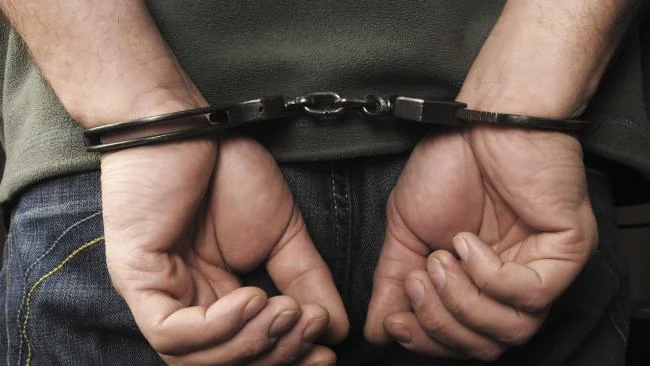 SUSPECT IN TERROR RAIDS ACCUSED OF MILLION-DOLLAR FRAUD