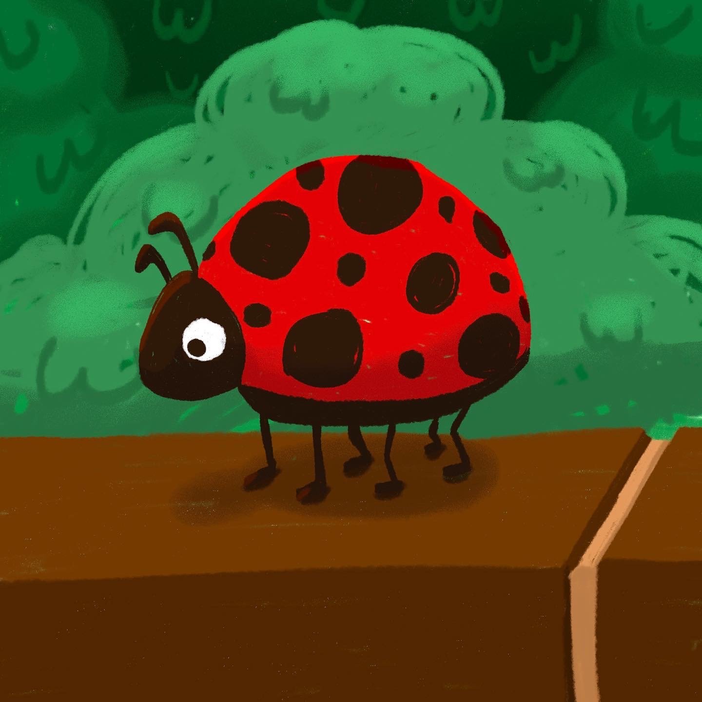 26: Ladybug
