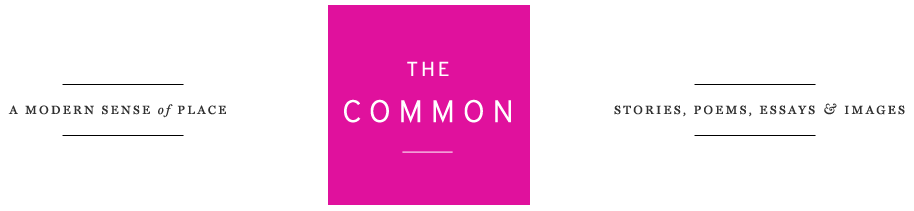 essay-for-the-common-online-by-james-boo