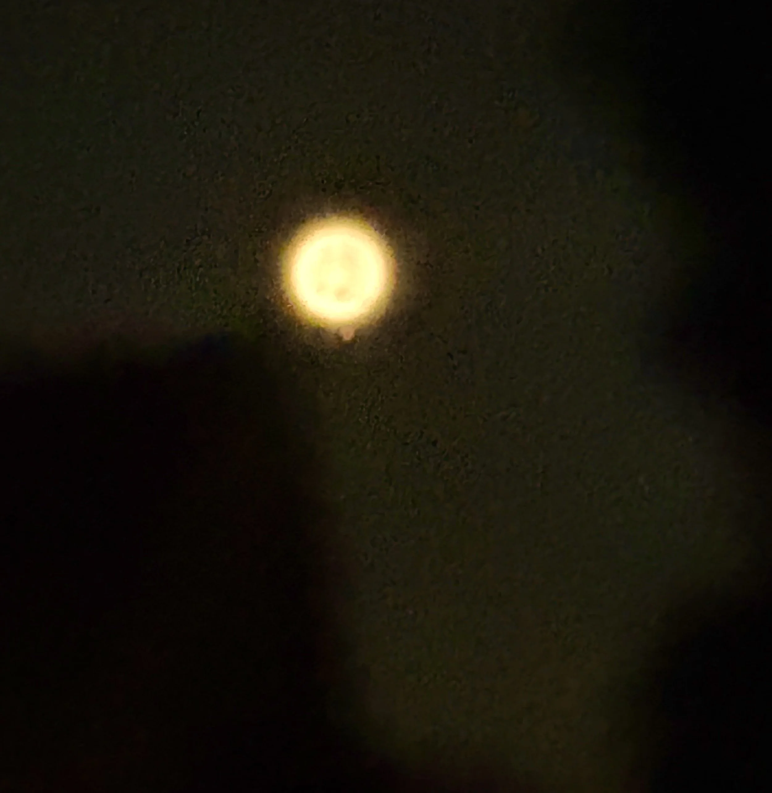 IMG_5177 2.jpeg