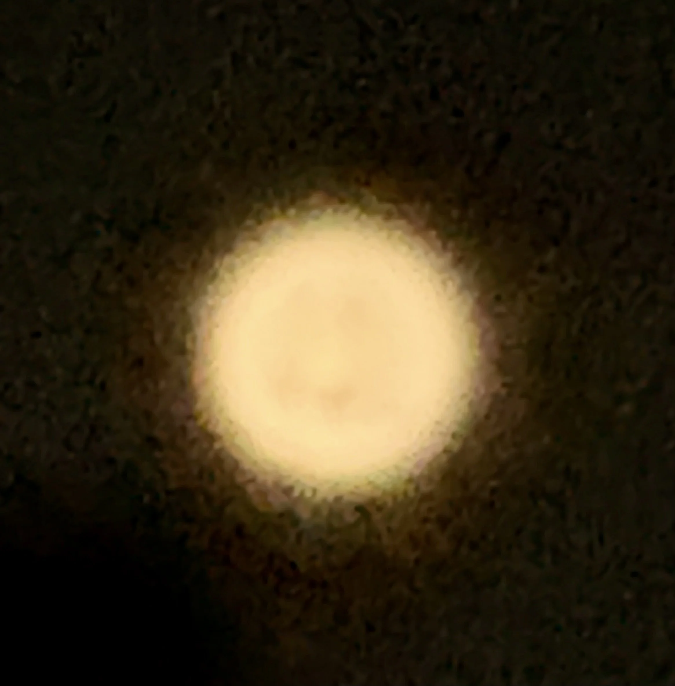 IMG_5171.jpeg