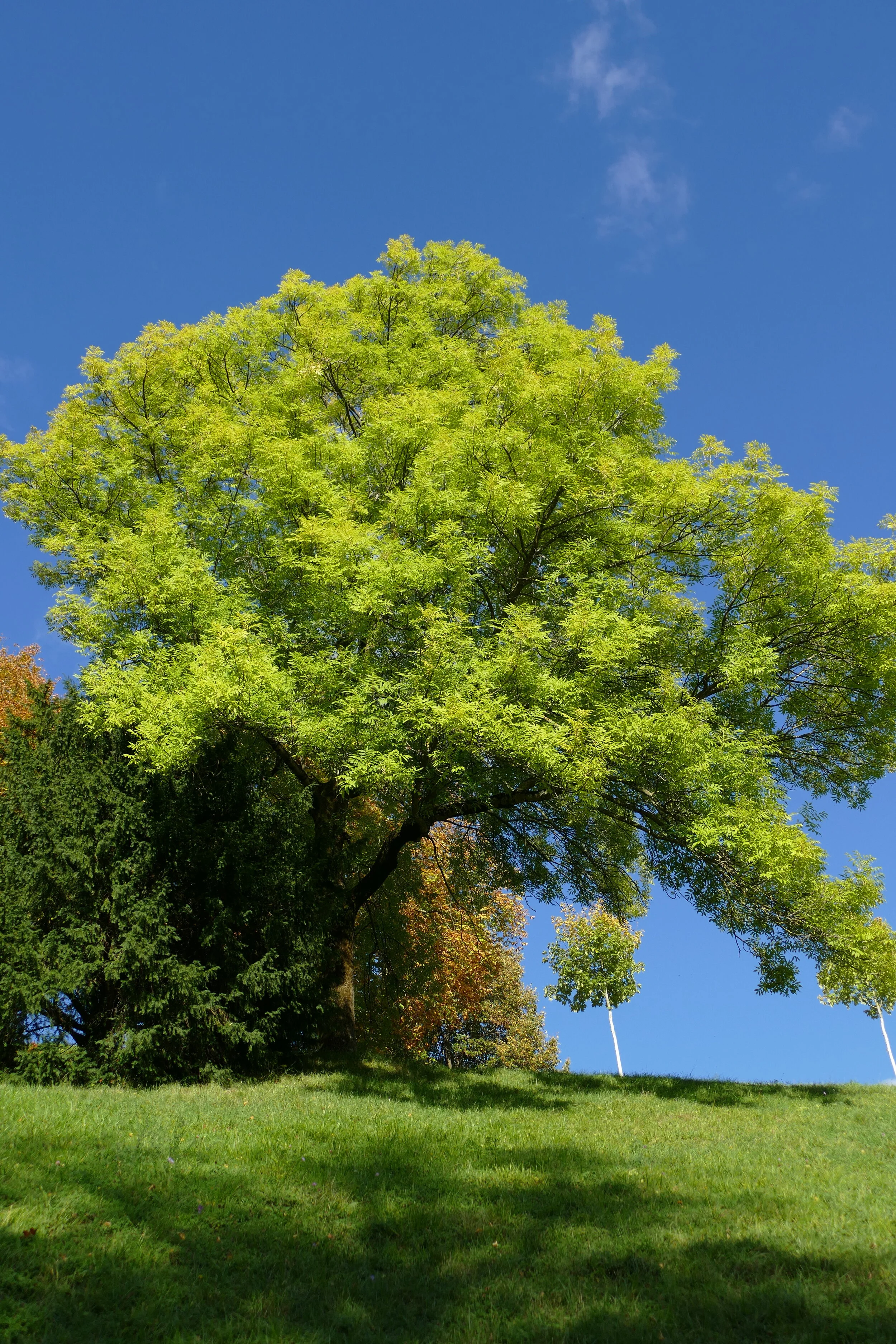 VISIT SWITZERLAND WITH me!