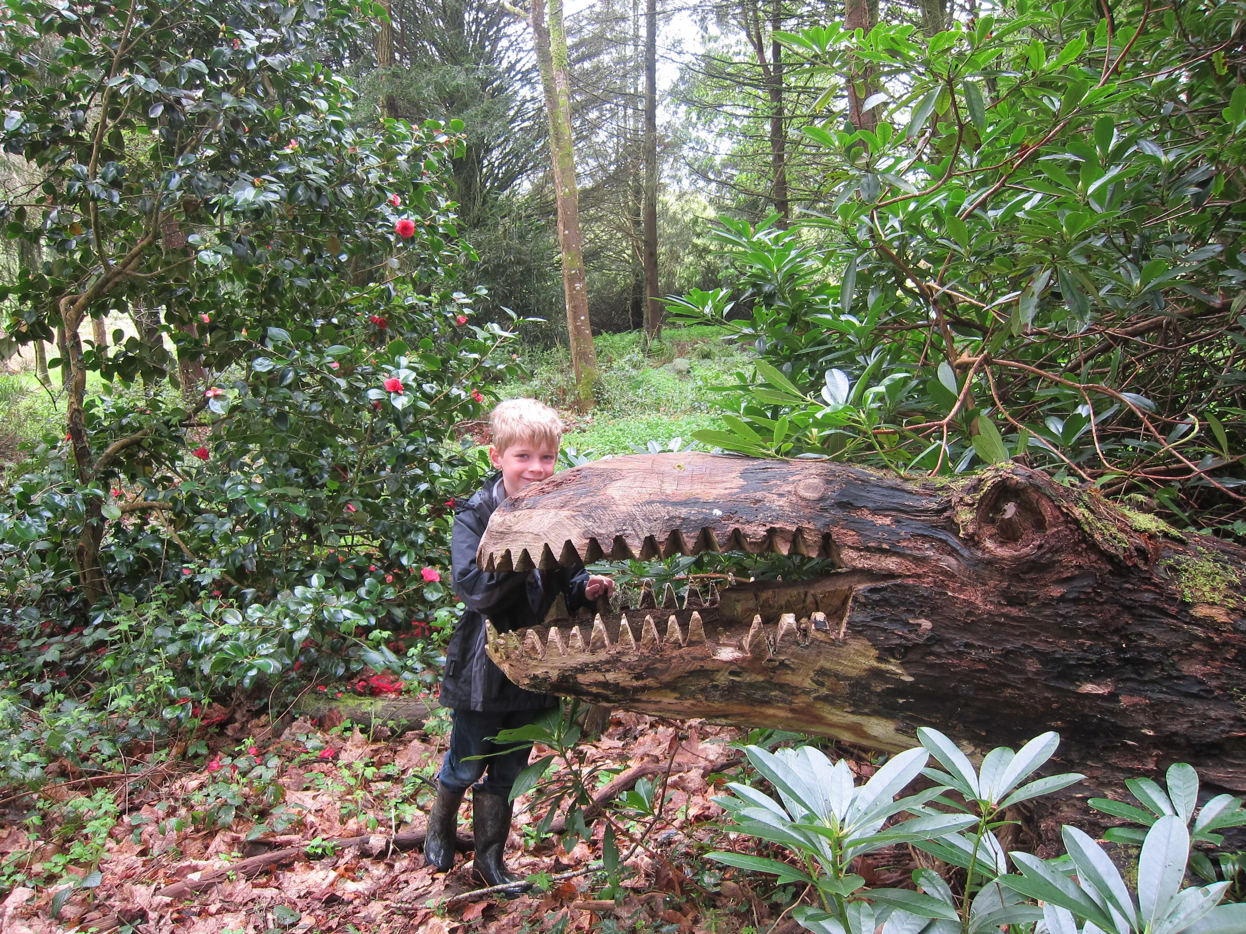 Woodland surprises !