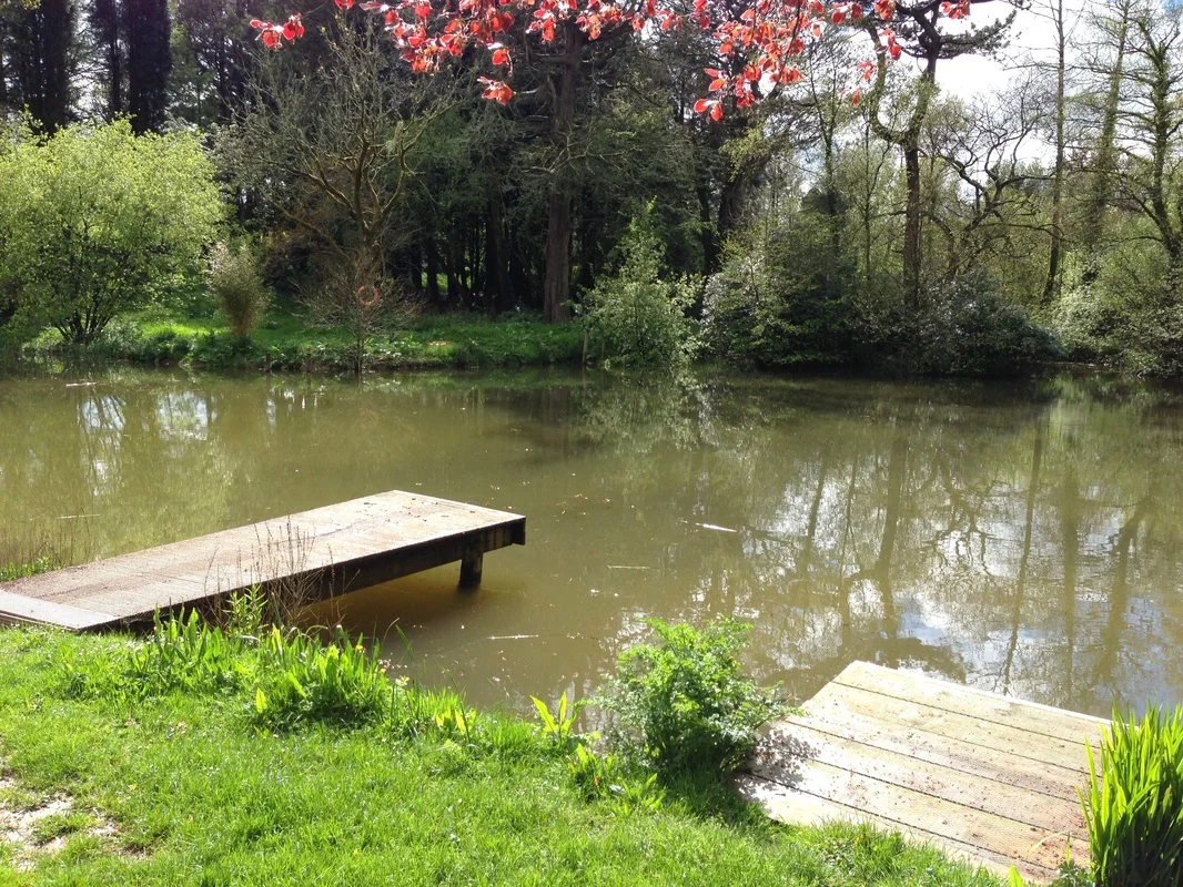 Fishing lake on Colmer Estate - 2 mins walk from Lodge