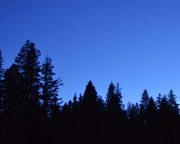 The first star