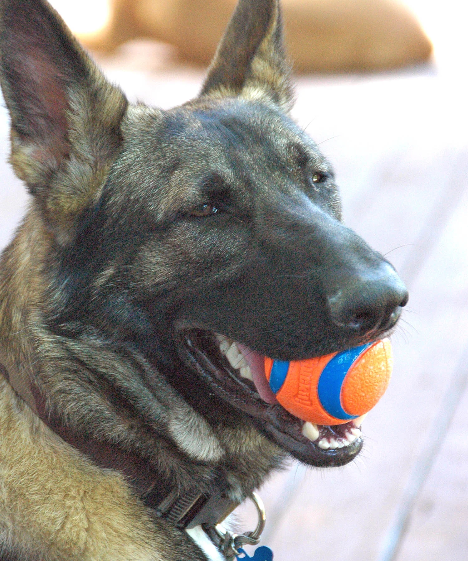 Kagan is always happy when there is a ball involved.