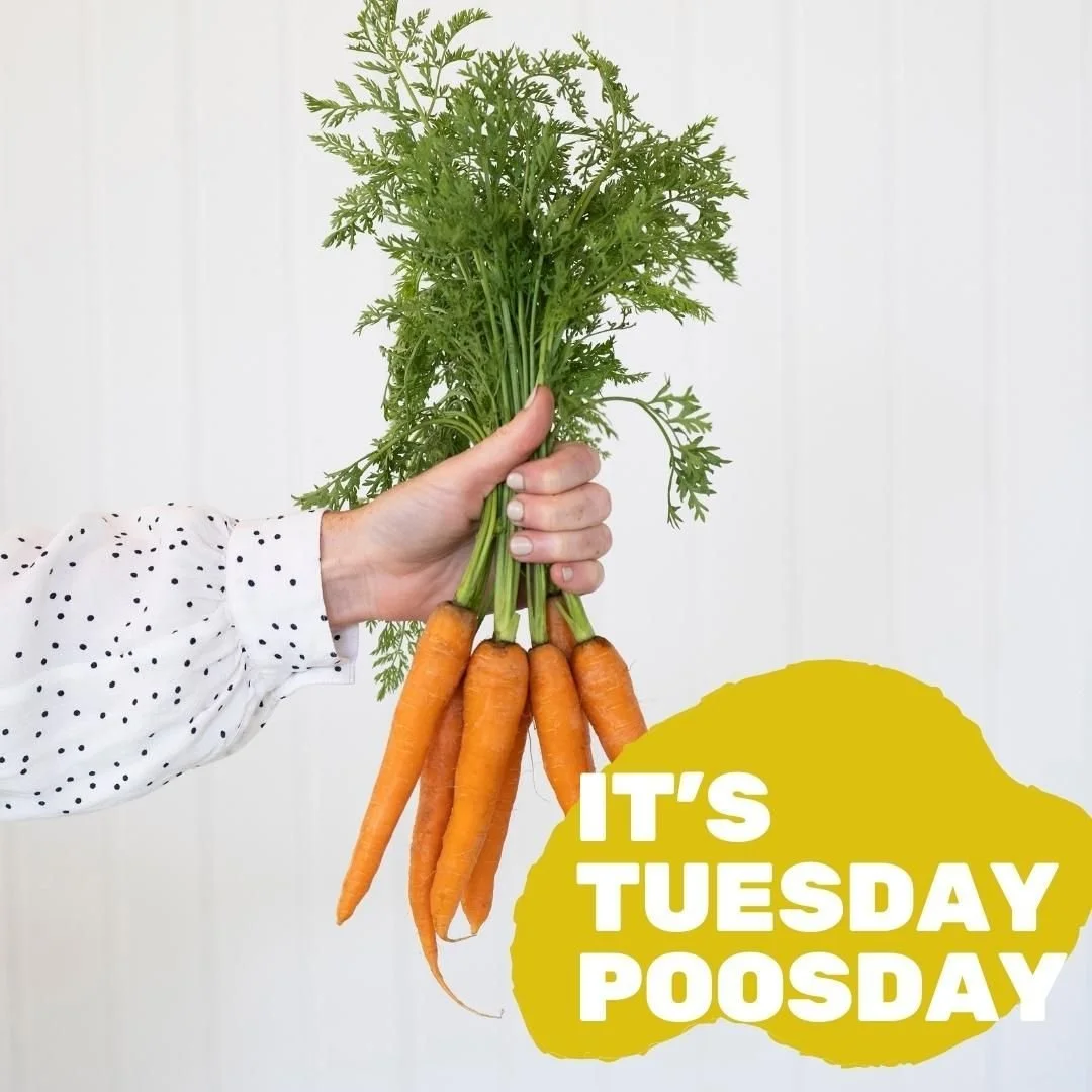 Ladies, let's talk Oestrogen clearance. And yes, totally a Tuesday Poosday topic. We need to poo every single day, to effectively and safely excrete our detoxified oestrogen out of our bodies.

👉🏼 Oestradiol, (our most potent form of oestrogen) goe