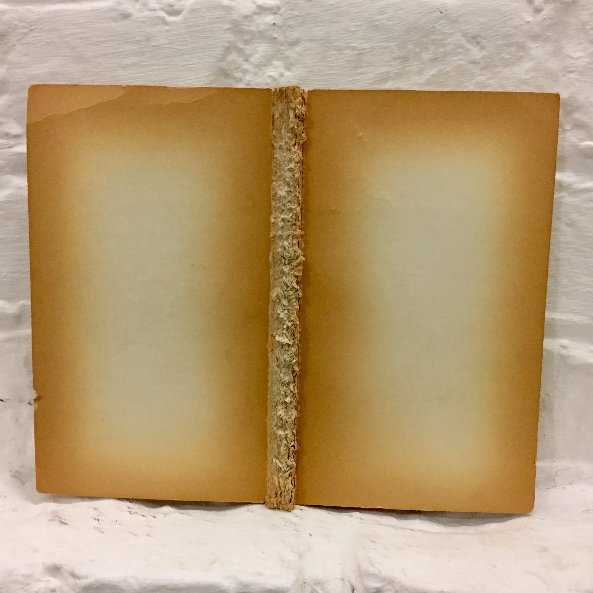 Softback I