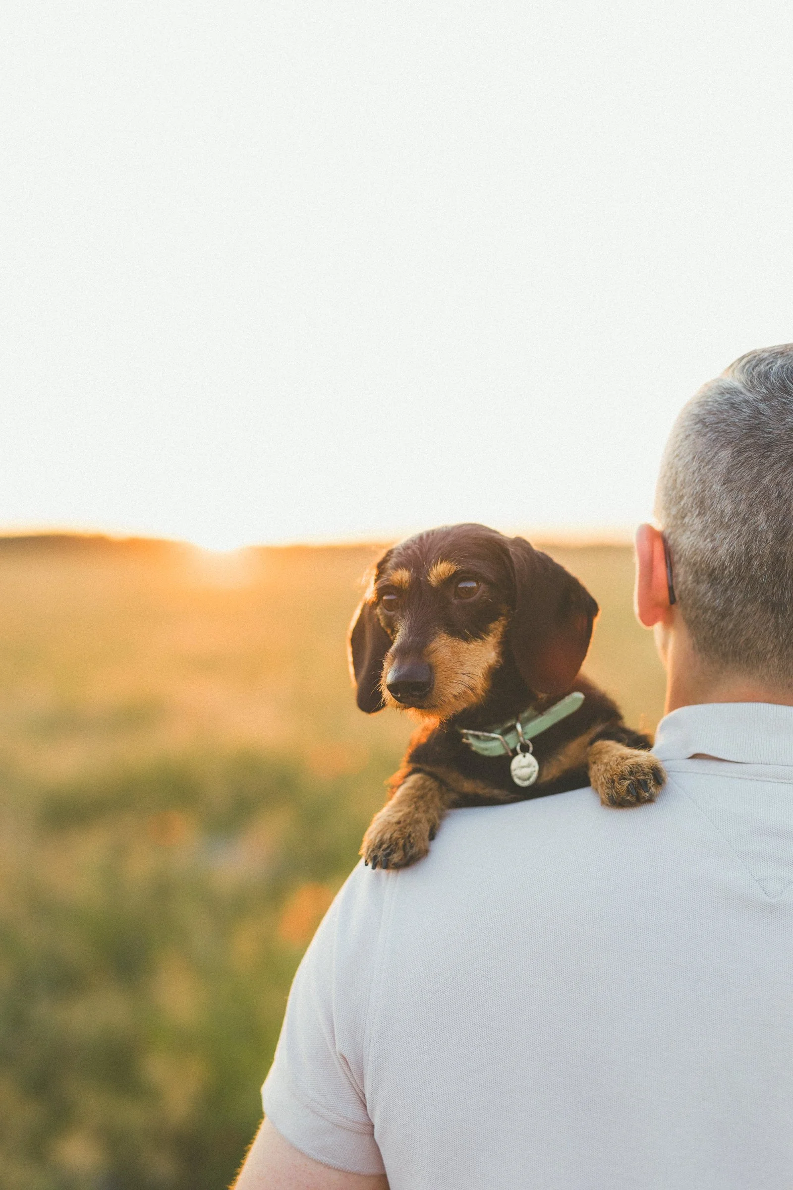 familienbilder-mit-hund-outdoor-brandenburg.jpg