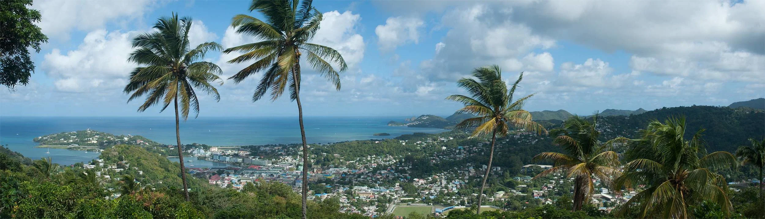 St. Lucia Palms