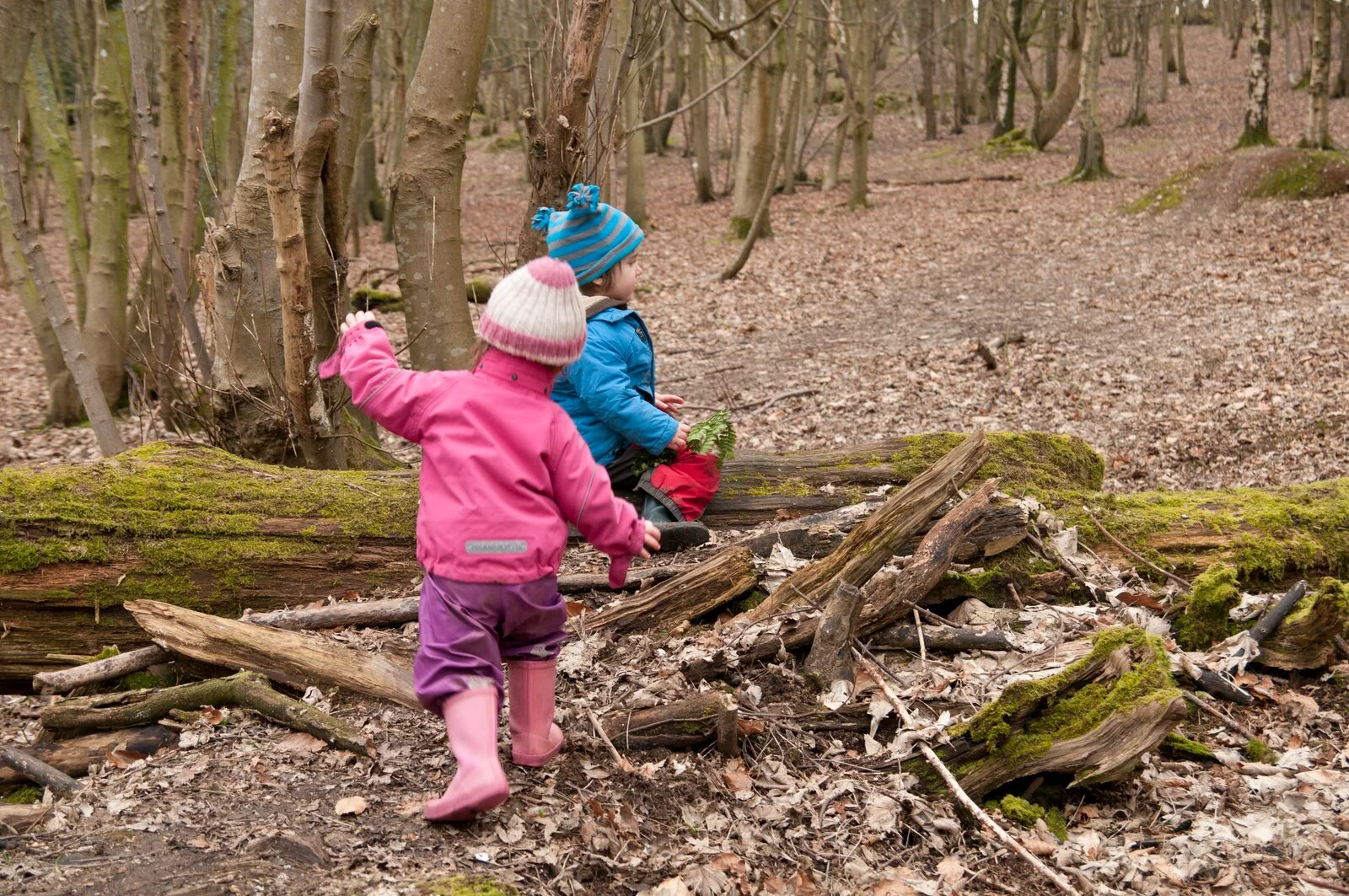 summer solstice activities nature nurture sussex