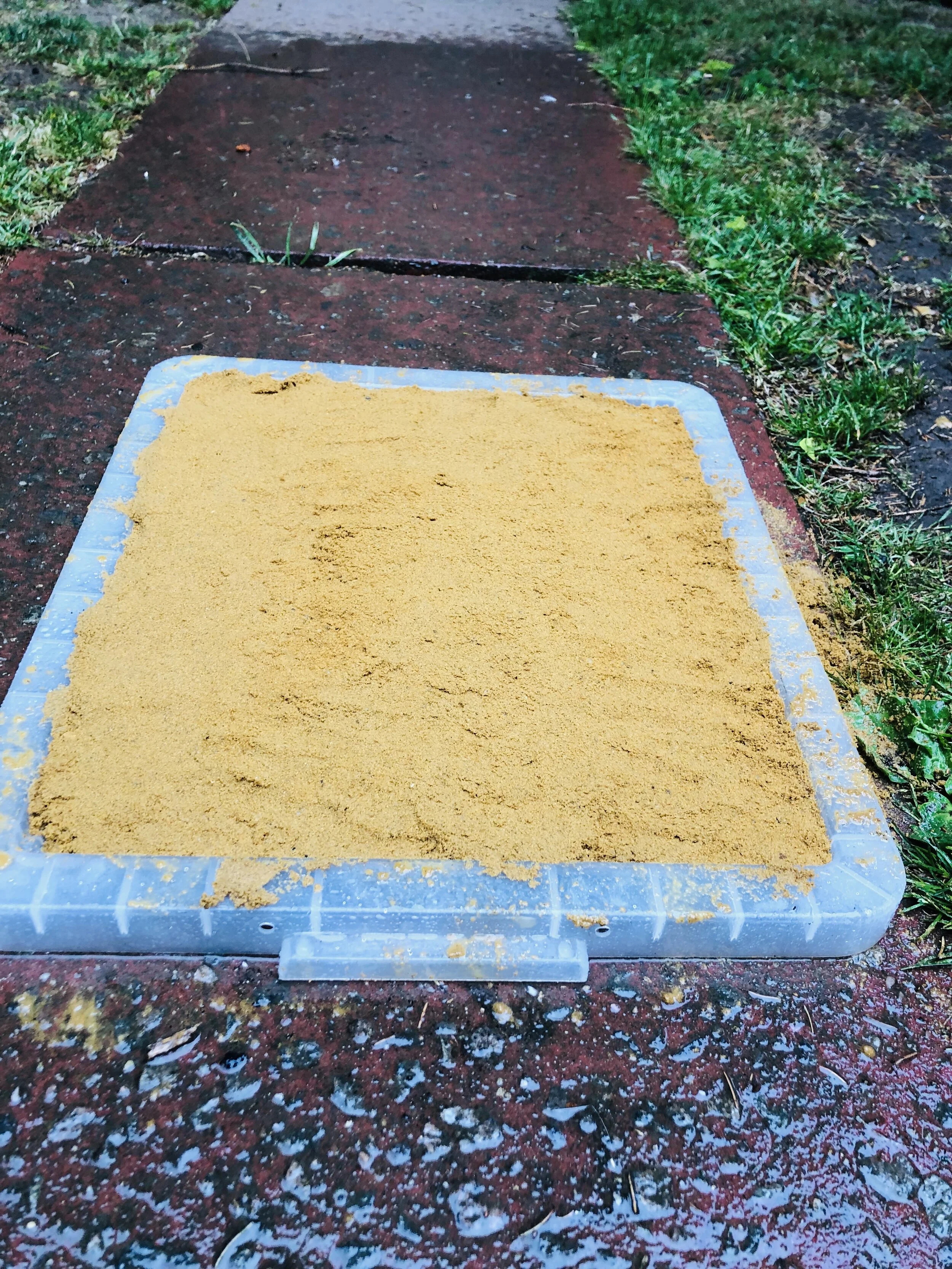 Footprint Traps — Nature Nurture Sussex