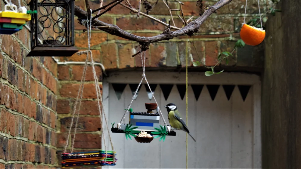 How to Make a Fruit Bird Feeder: Easy DIY Steps to Attract Birds