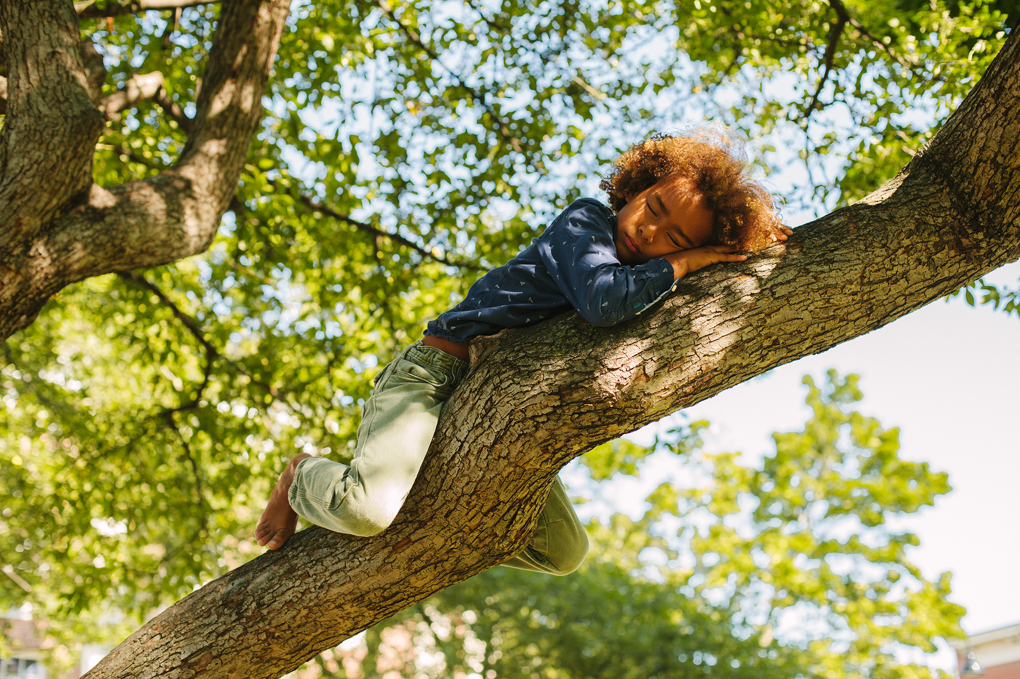 boy asleep in vermont tree web.jpg