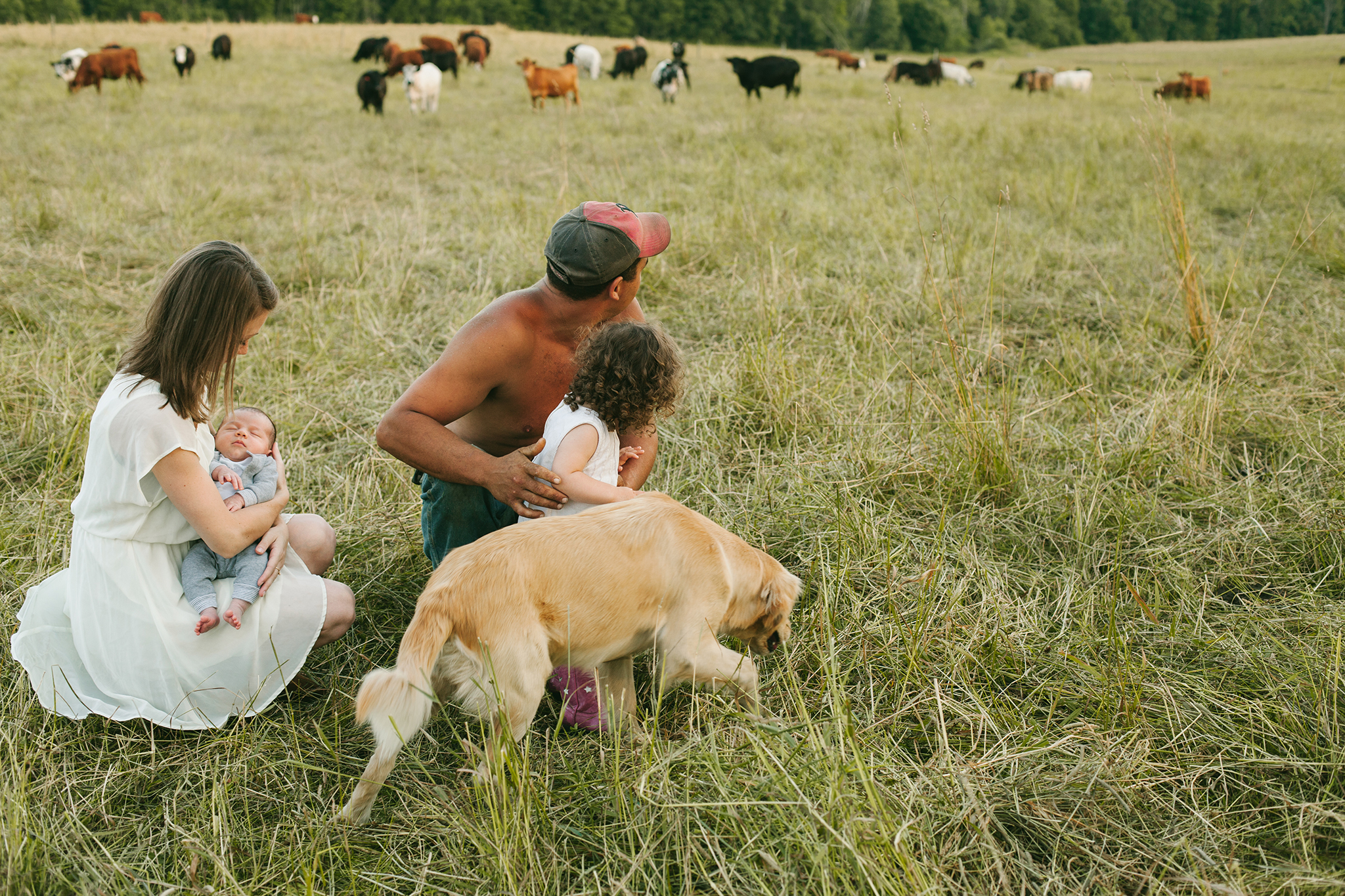 vt farming family in cow field web.jpg