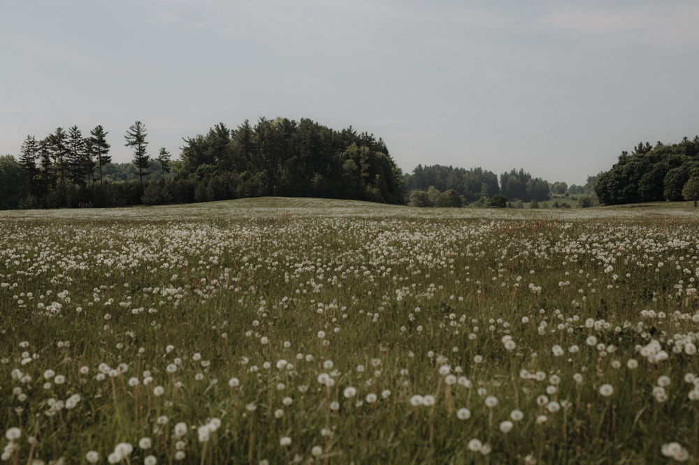 Erin-Mike-Intimate-Vintage-Wedding-Shelburne-Farms-Vermont -3.jpg