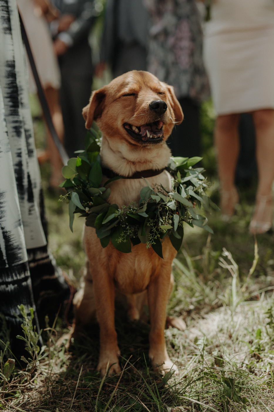 woods-walk-trail-crested-butte-colorado-wedding-13.jpg