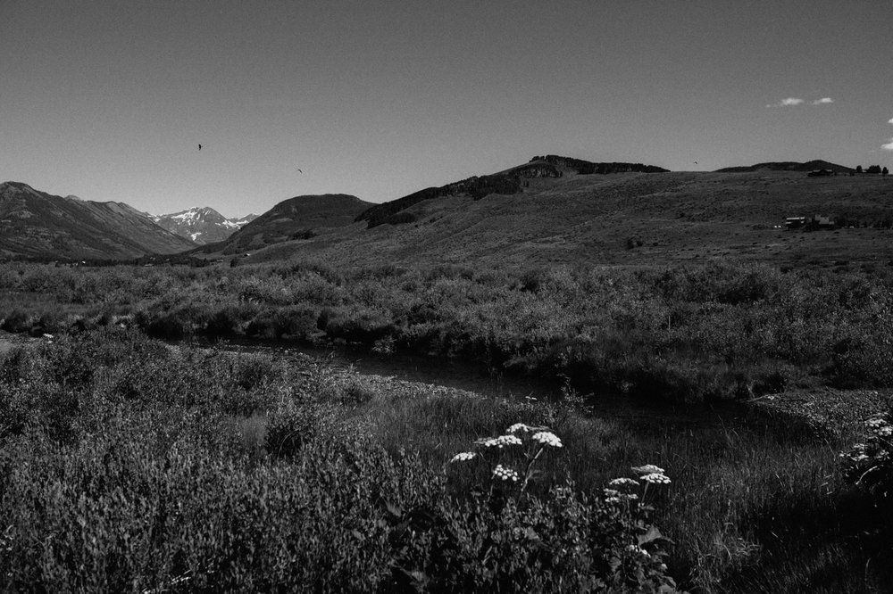 woods-walk-trail-crested-butte-colorado-wedding-125.jpg