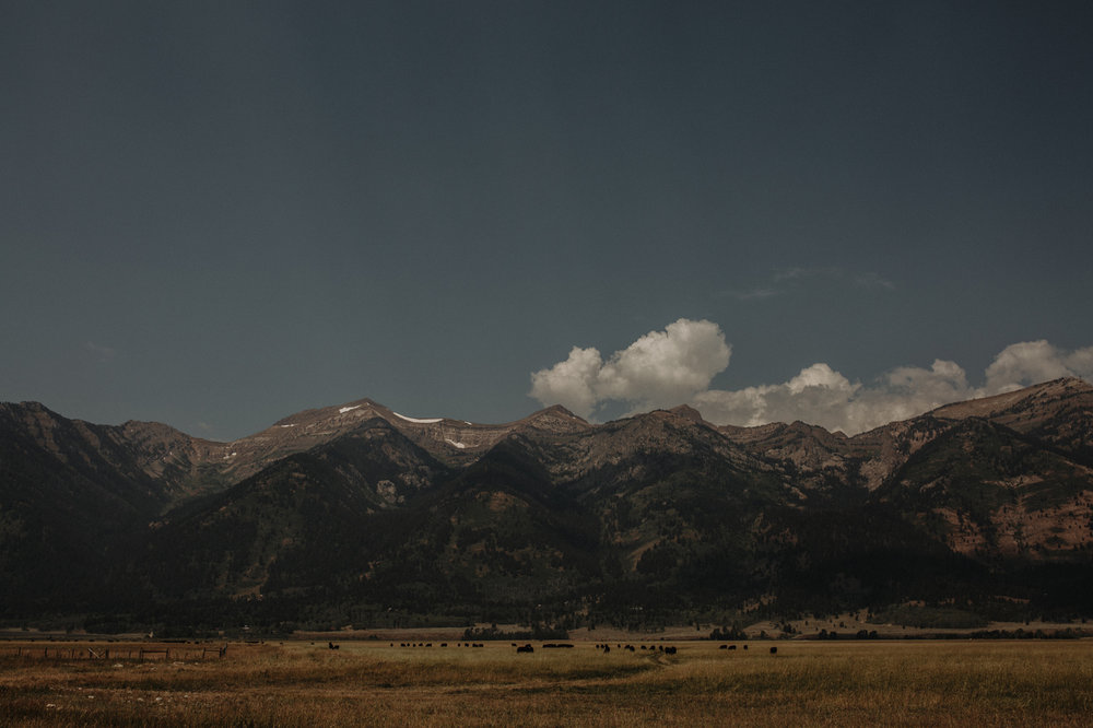 001-grand-teton-jackson-hole-wyoming-wedding.jpg