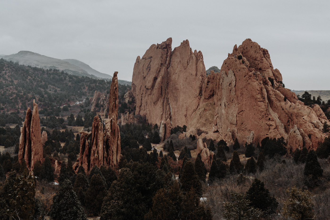 garden-of-the-gods-winter-wedding-jones-max-47.jpg