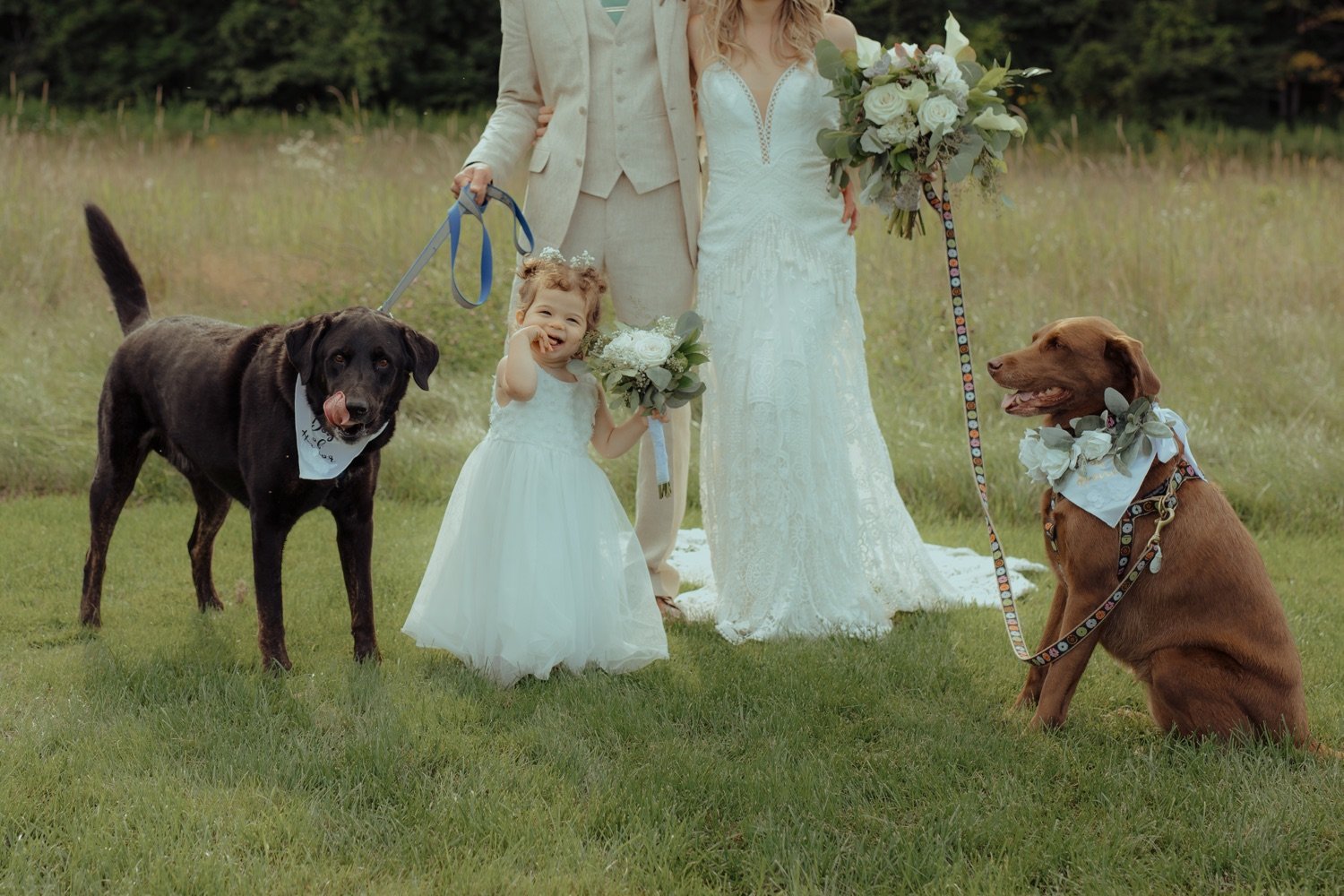 050_cameron-alexa-wedding-274_wedding family dogs flower girl .jpg