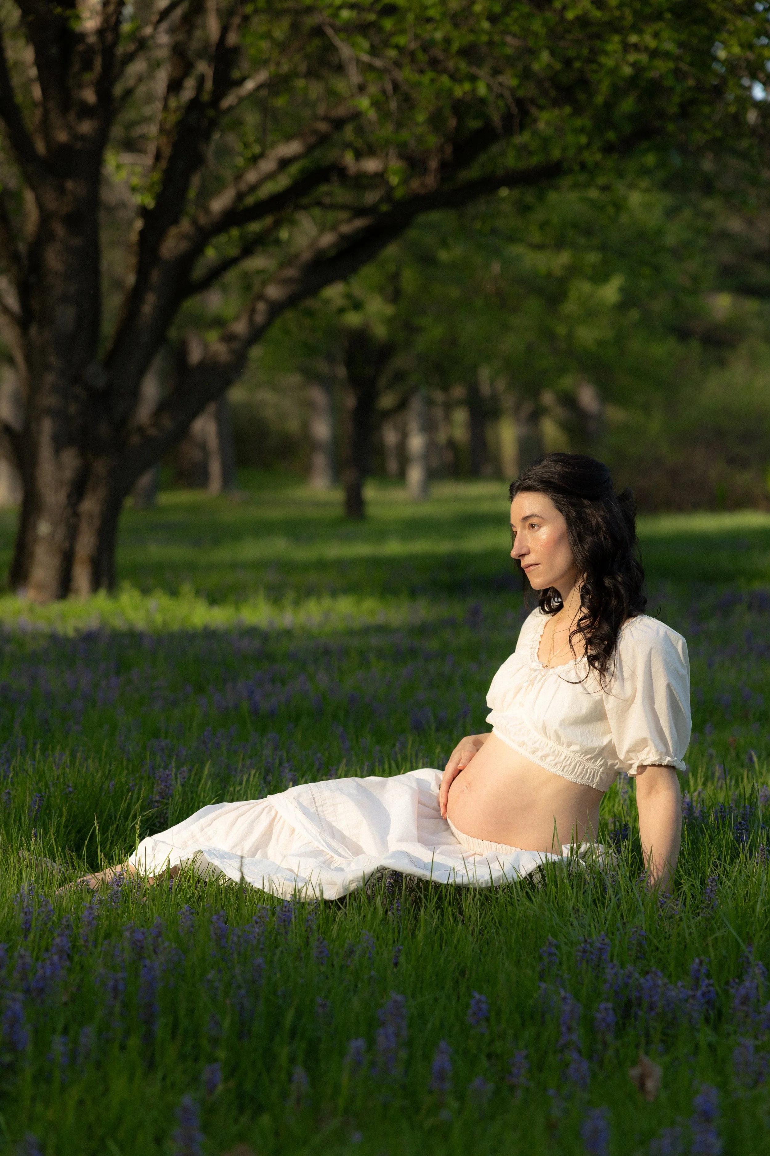 manchester-vermont-family-photographer-maternity-photos-5.jpg