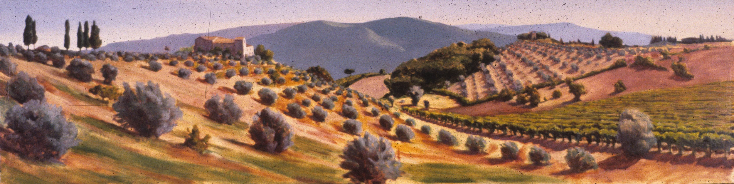 Patterned Hillsides.jpg