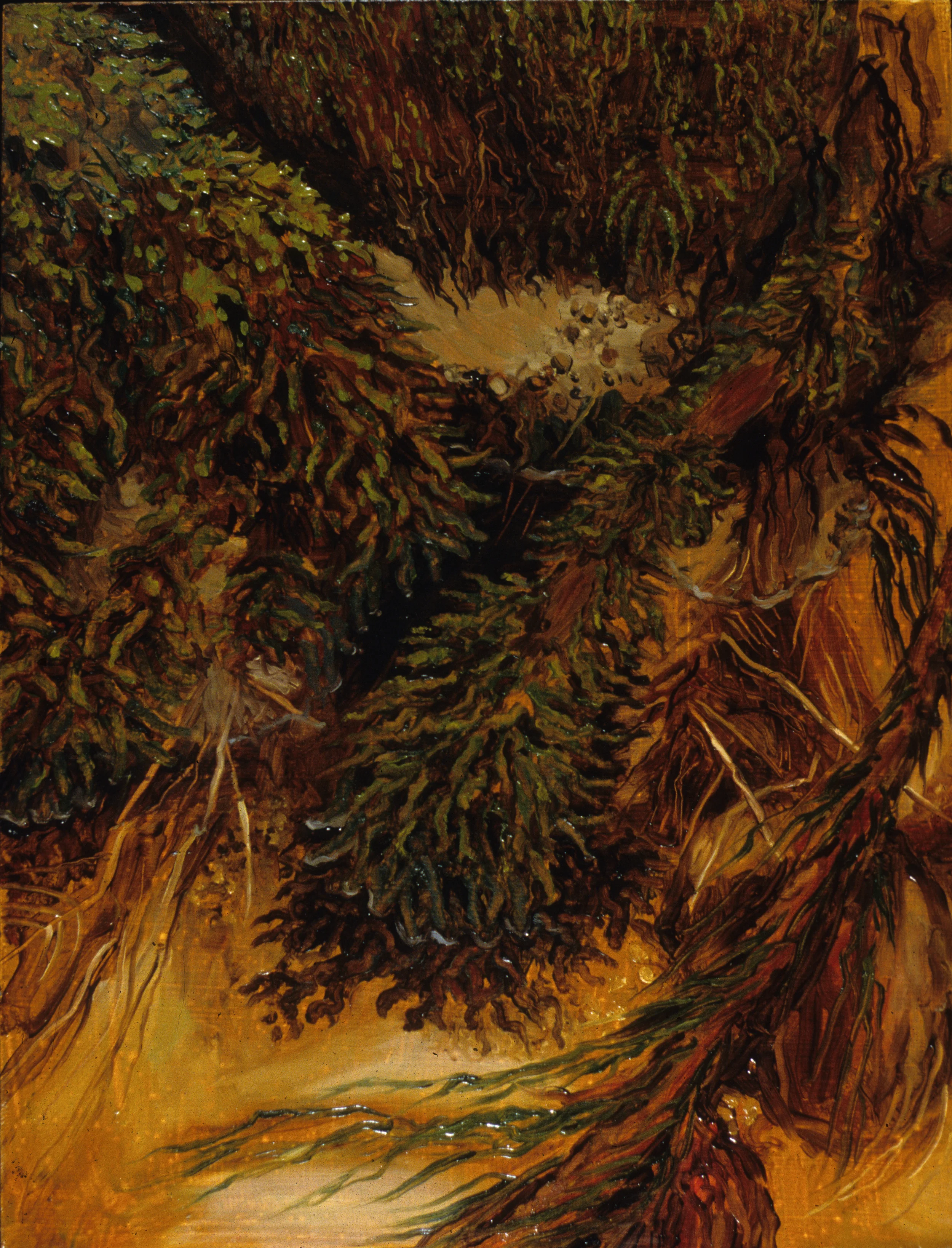 Moss in Stream.jpg