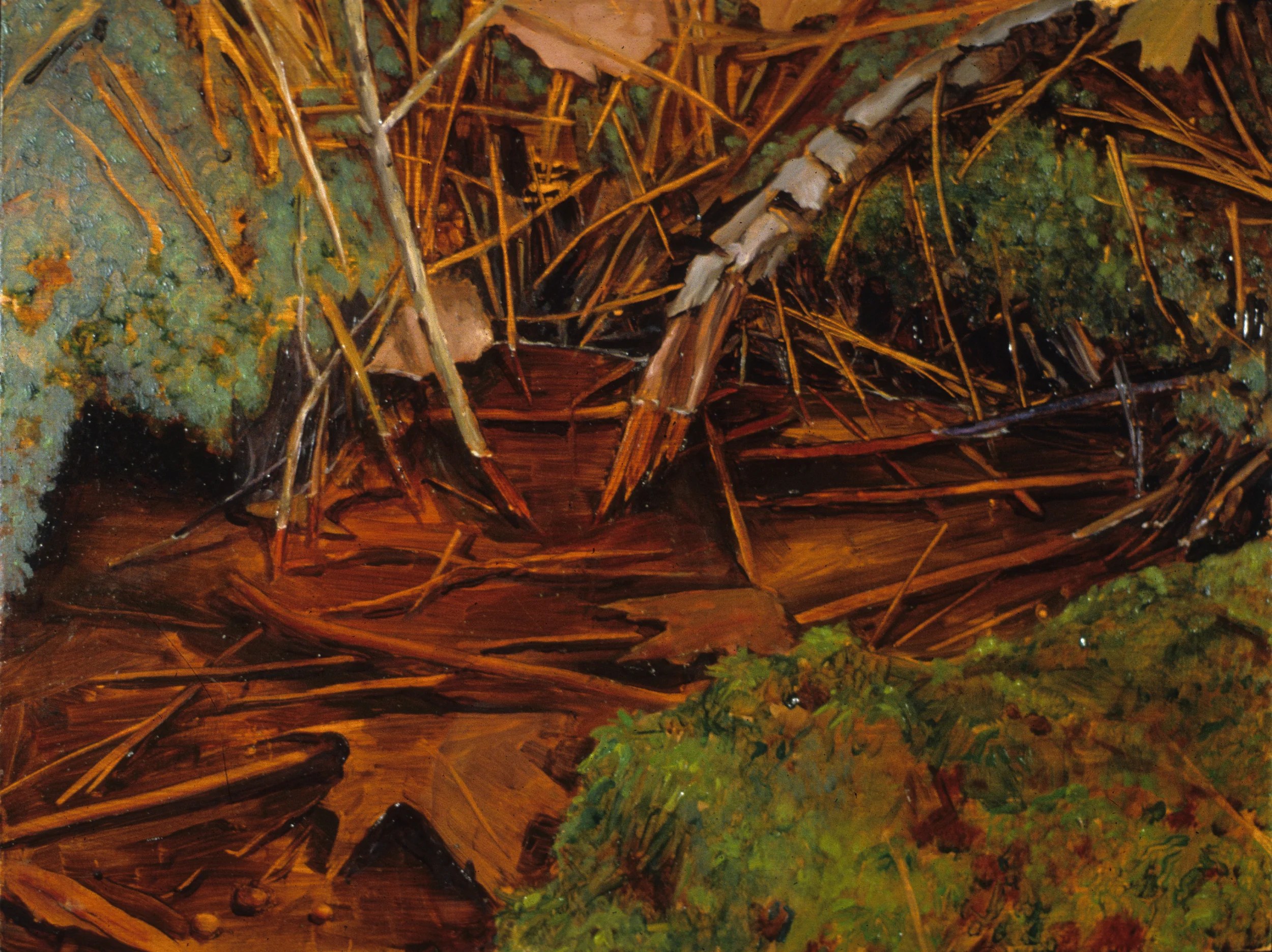 Needles in Puddle.jpg