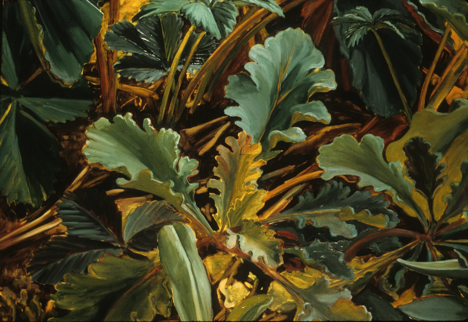 Weeds-3.jpg