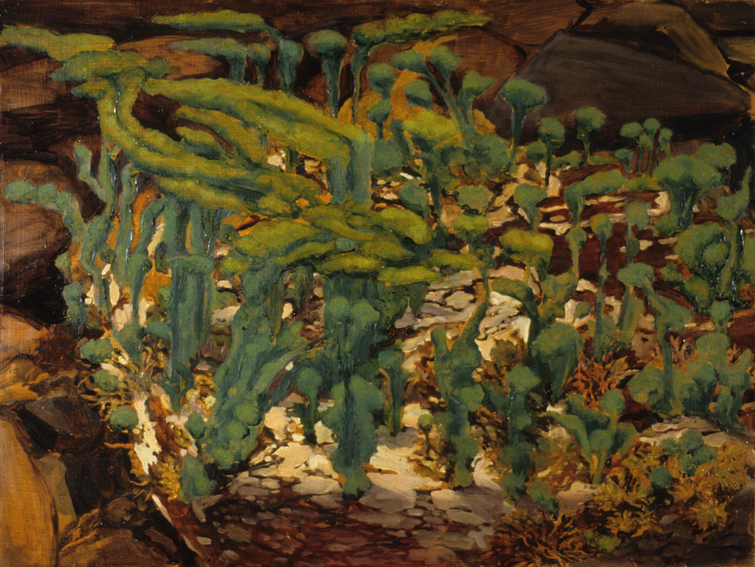 Tide Pool.jpg