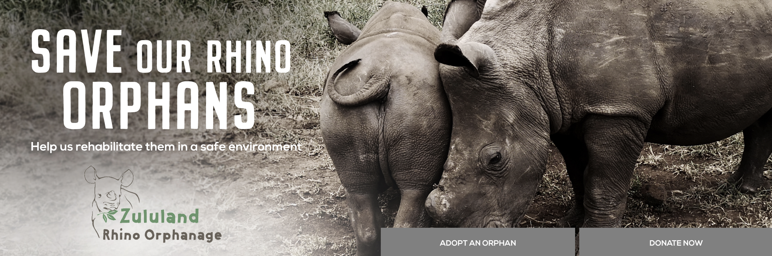 Screen Shot 2022-09-20 at 1.20.27 PM.png