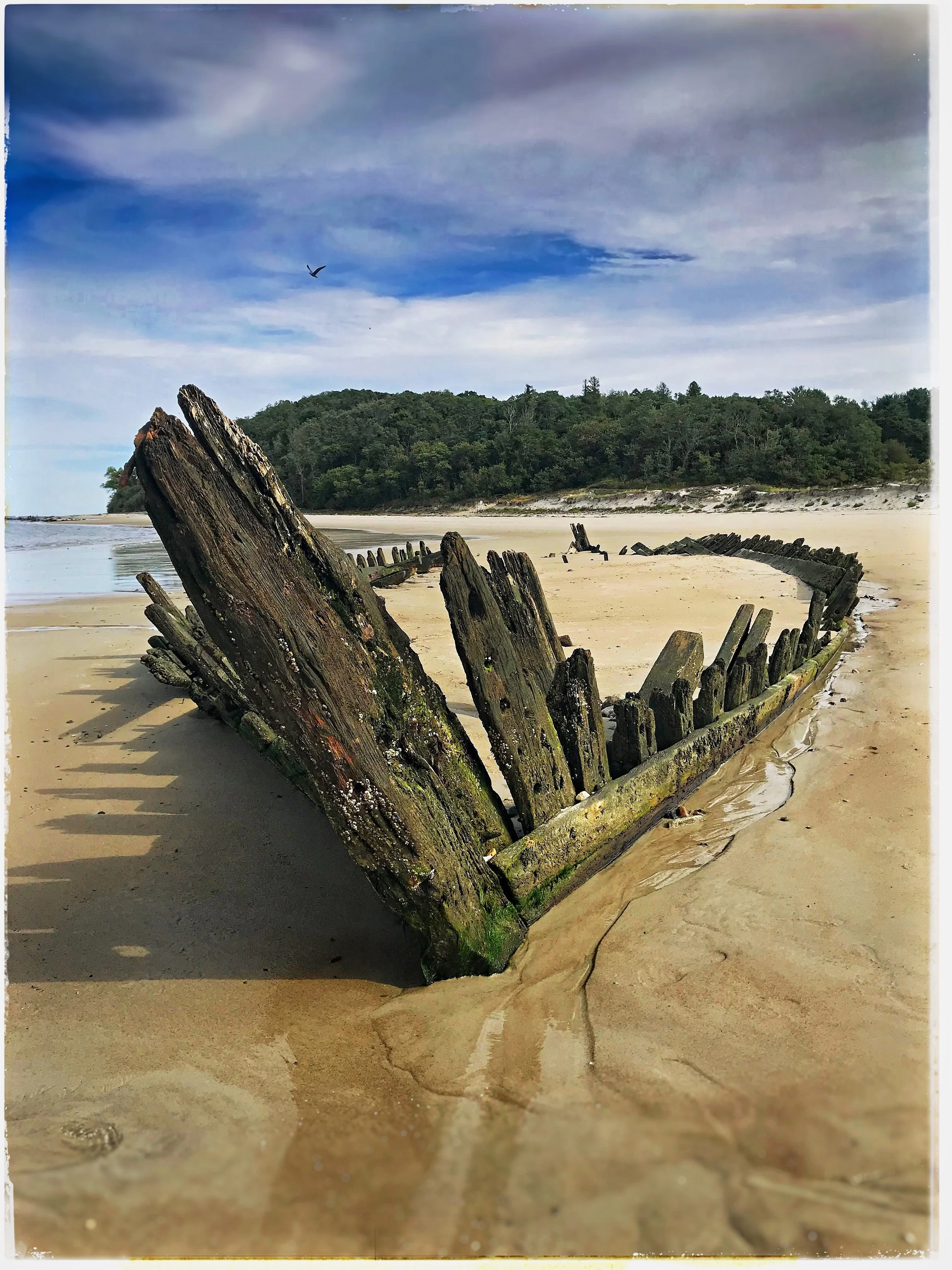 IMG_2265.jpg
