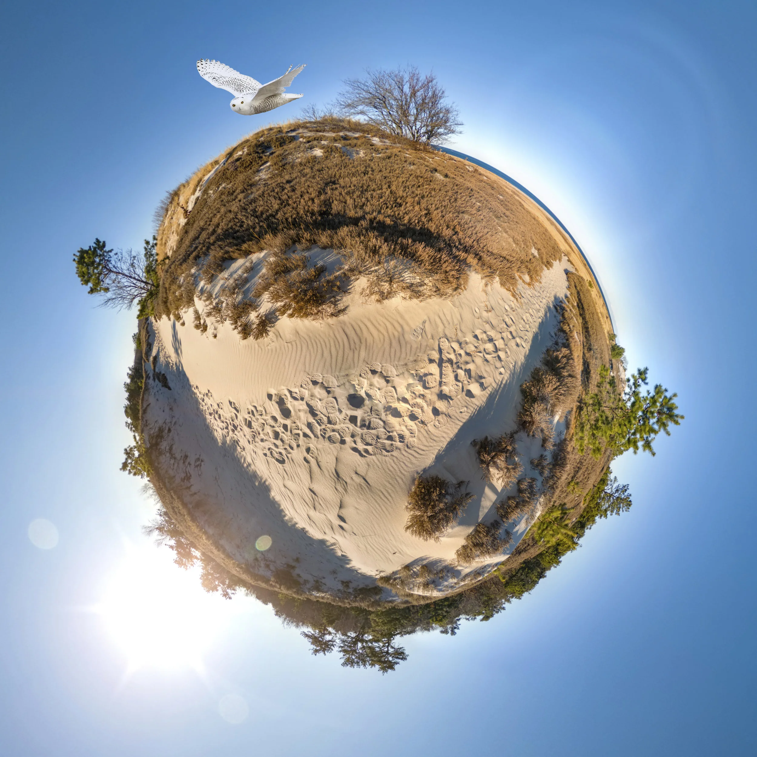 dunes 2.jpg