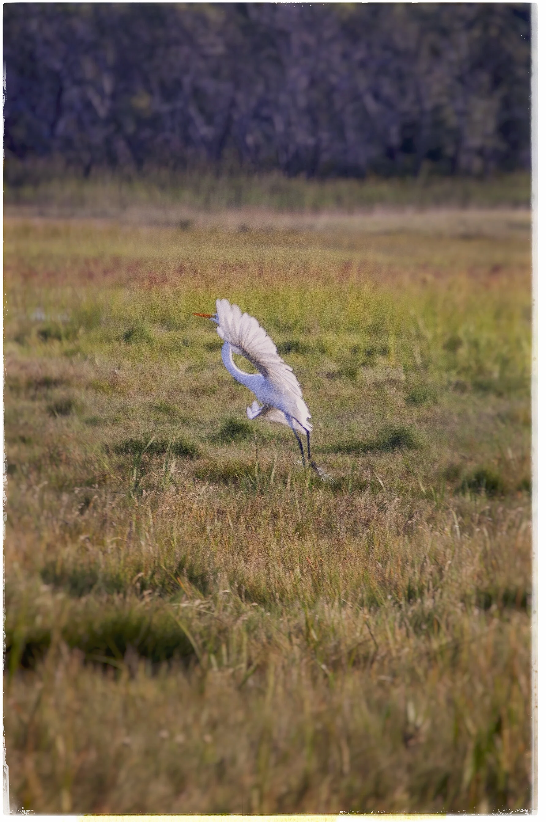 DSC_7901.jpg
