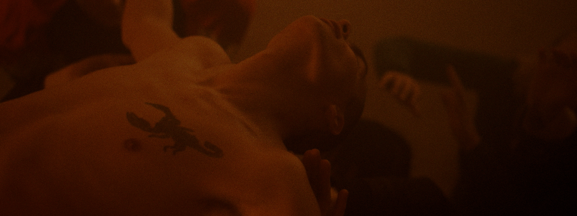 Untitled_1.1.12 (1).png