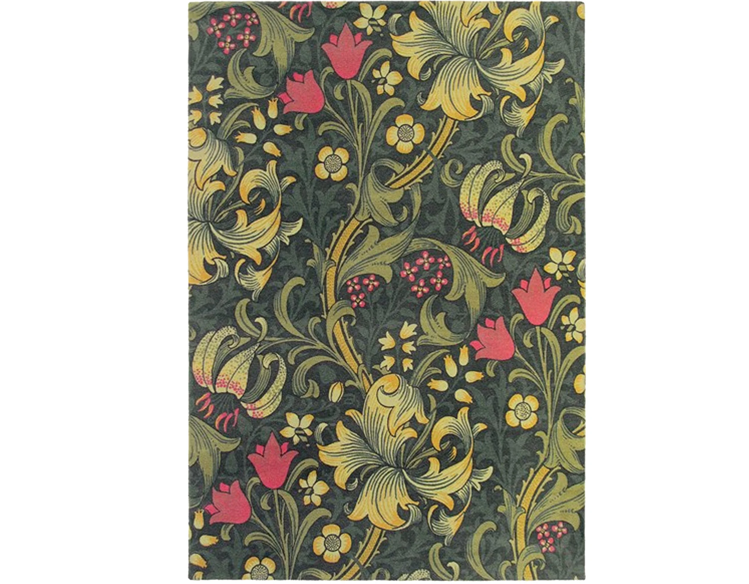 Golden Lily Morris & Co