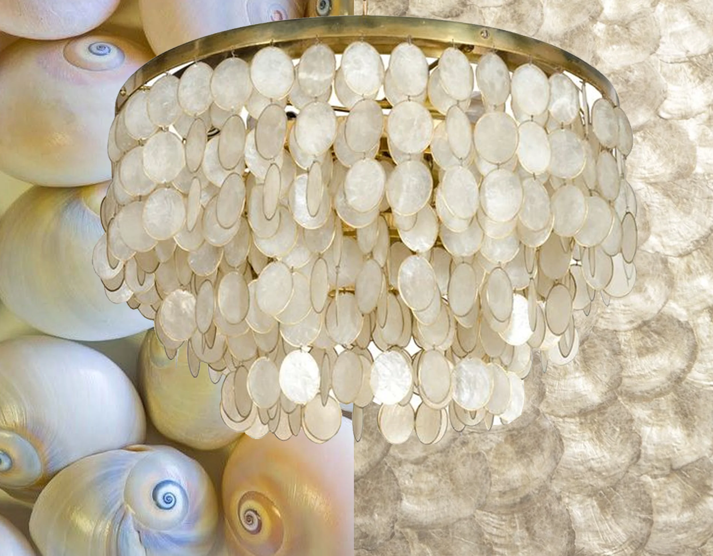photography shells Henry Domke - Fleki Mother of Pearl Aphrodite Maya Romanoff - Capiz Shell chandelier 1stdibs