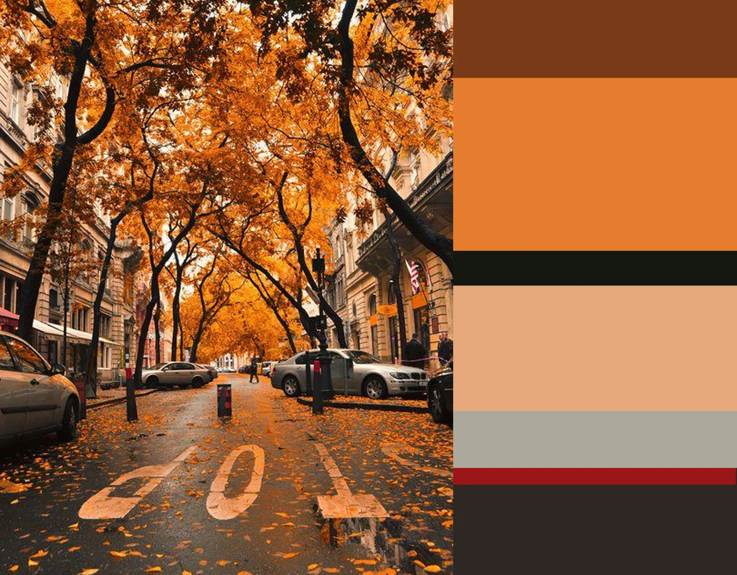 image inspiration via Style Caster - from top down Emery et Cie Rose Marrakech - Benjamin Moore Fruit Punch - Benjamin Moore Tooty Fruity - Farrow & Ball Skylight - Benjamin Moore Million Dollar Red - Farrow & Ball Tanner's Brown