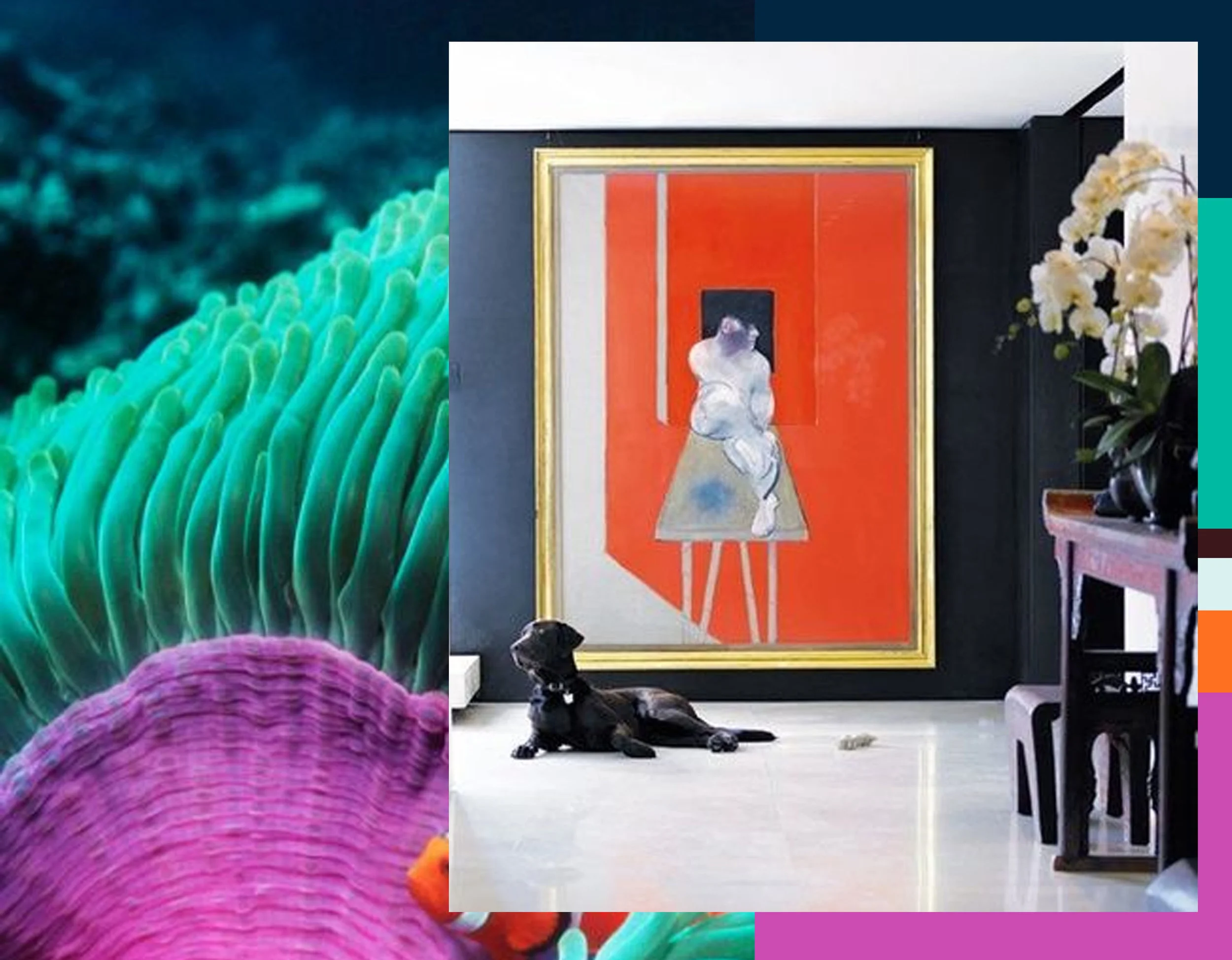 interior image via Daily Dream Decor
