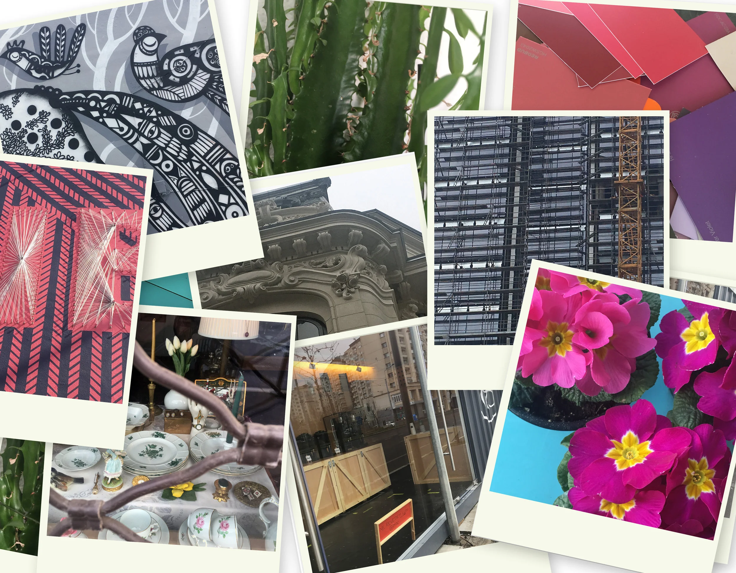 snapshots
