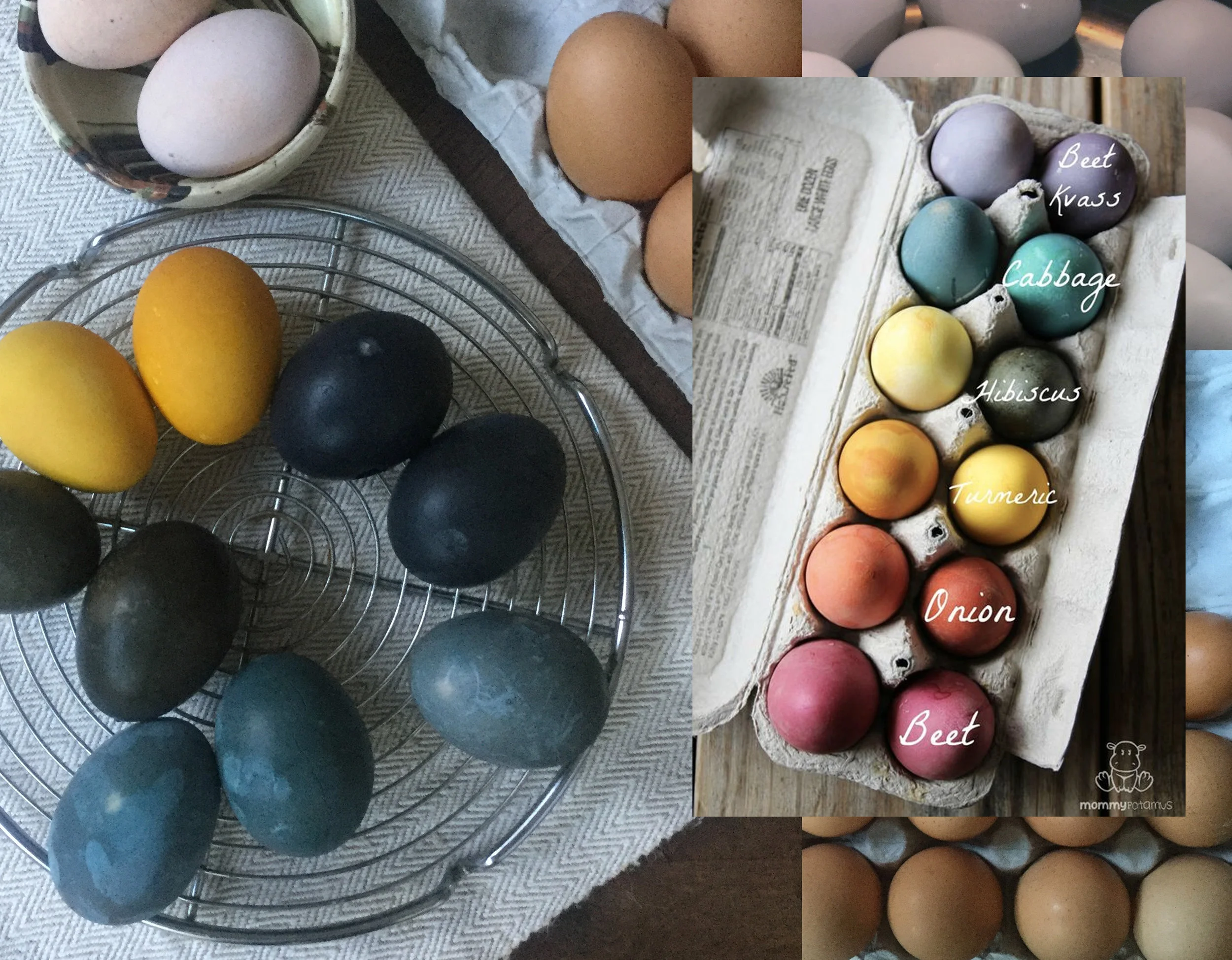 my own dyed Easter eggs - vegetable dyed eggs with explanation via Mommy Potamus