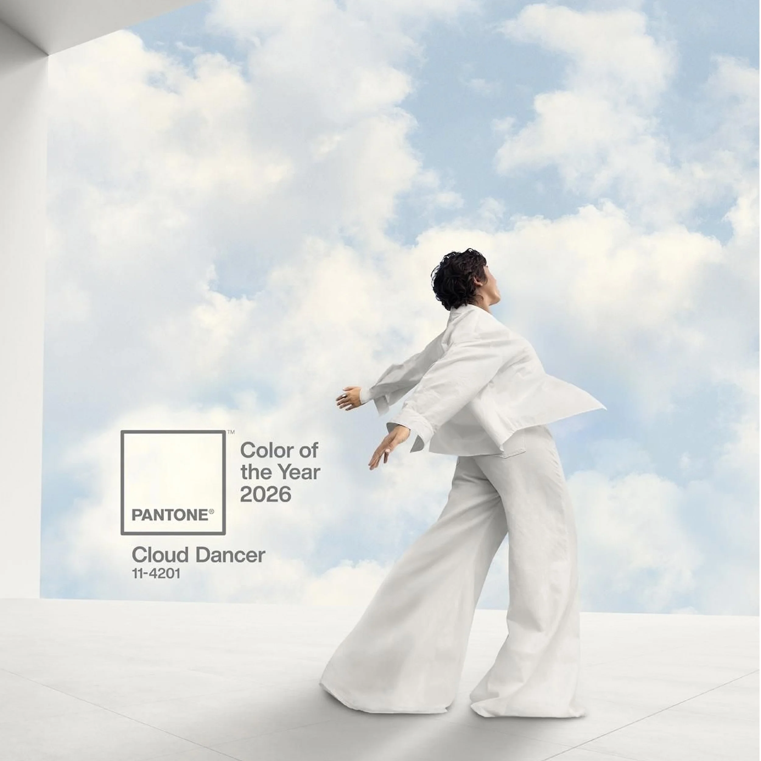 Cloud Dancer, Pantone's Color for 2026