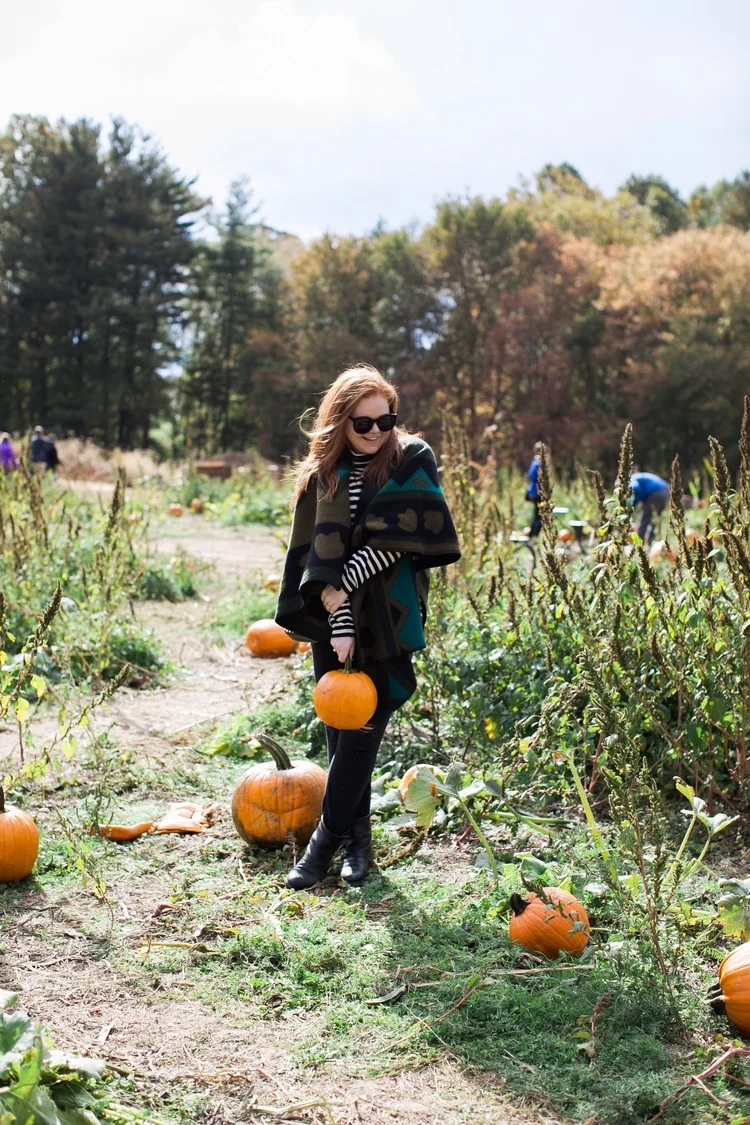 butler's orchard // oh my gourd