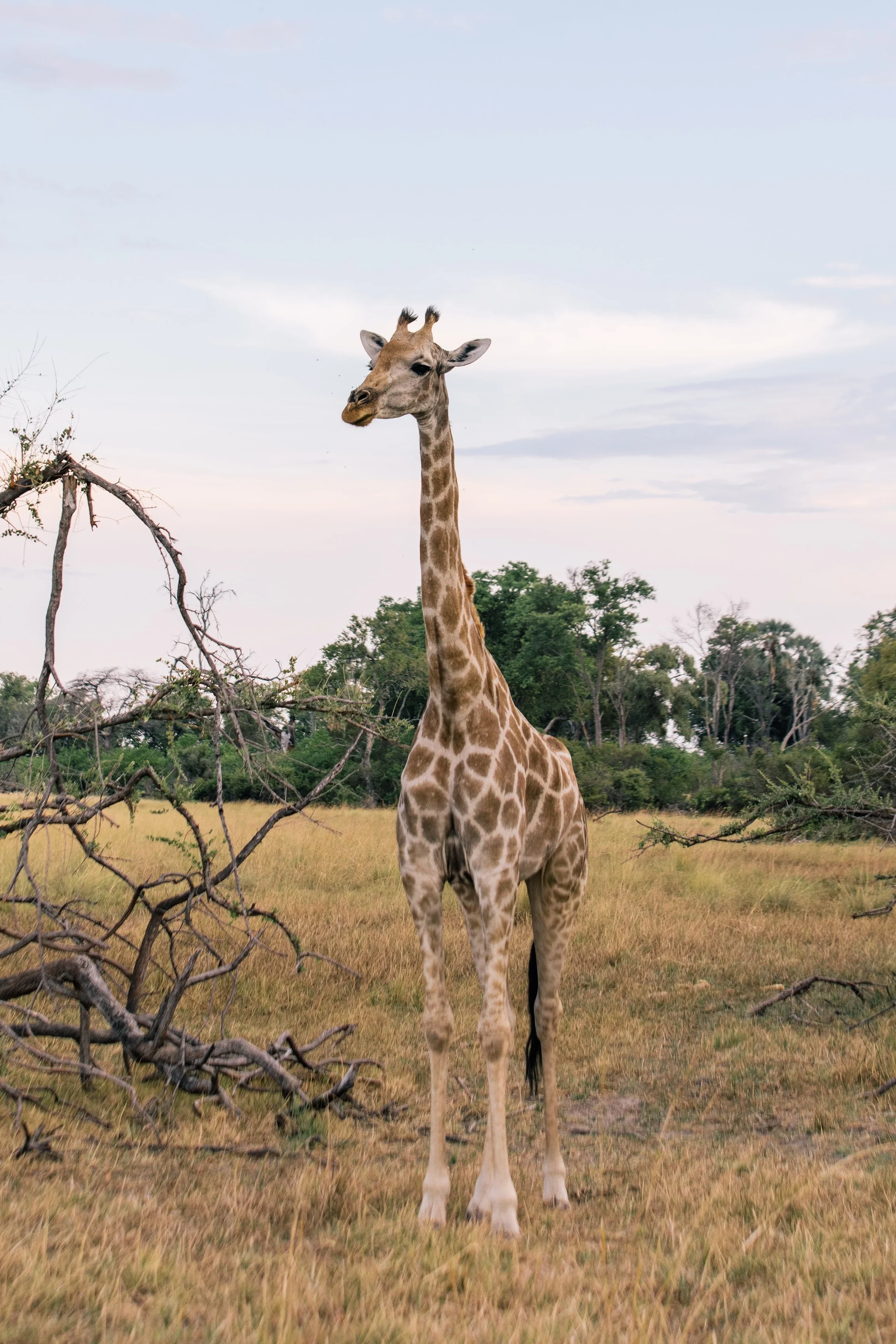 africansafari-15.jpg