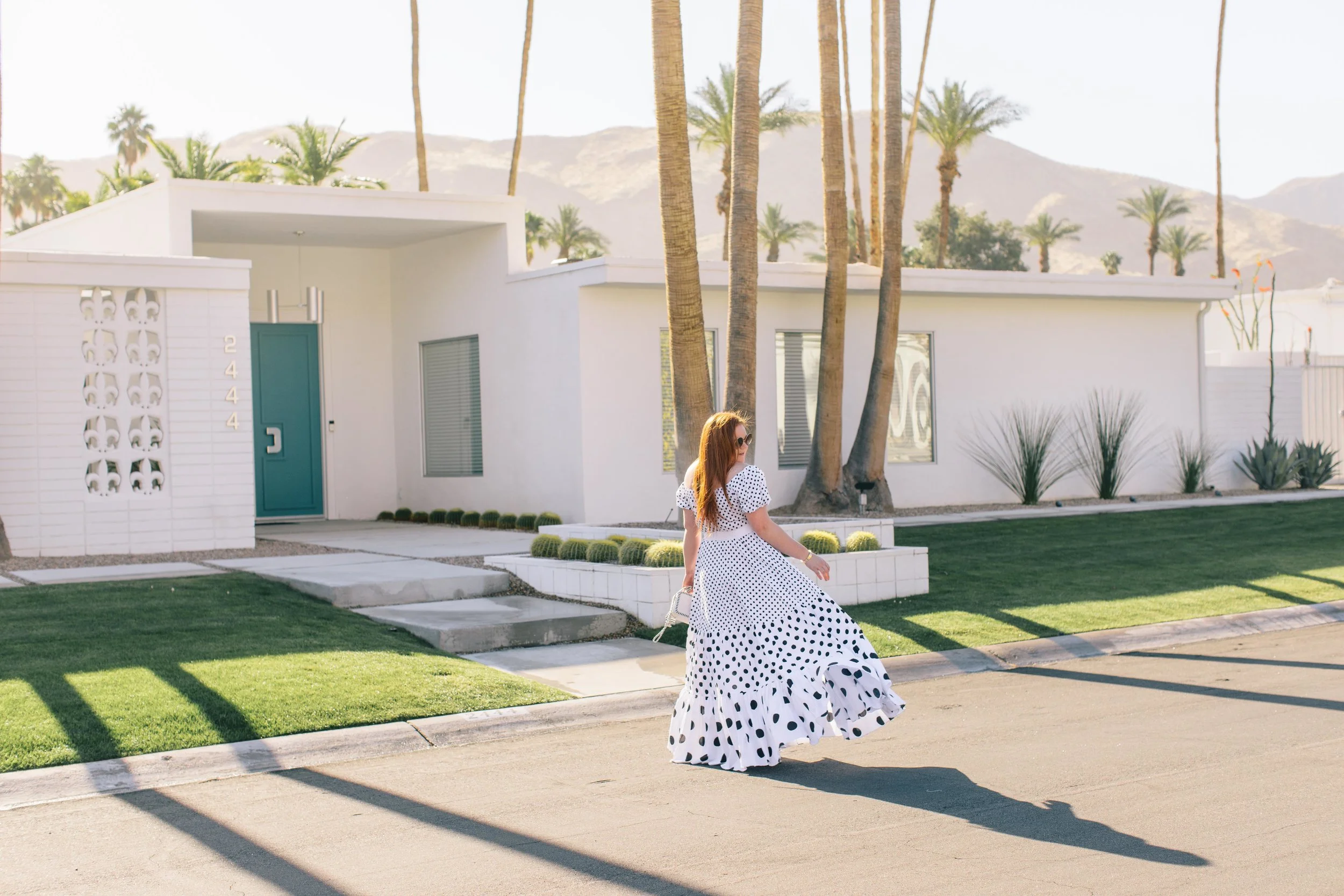 palmsprings-391.jpg