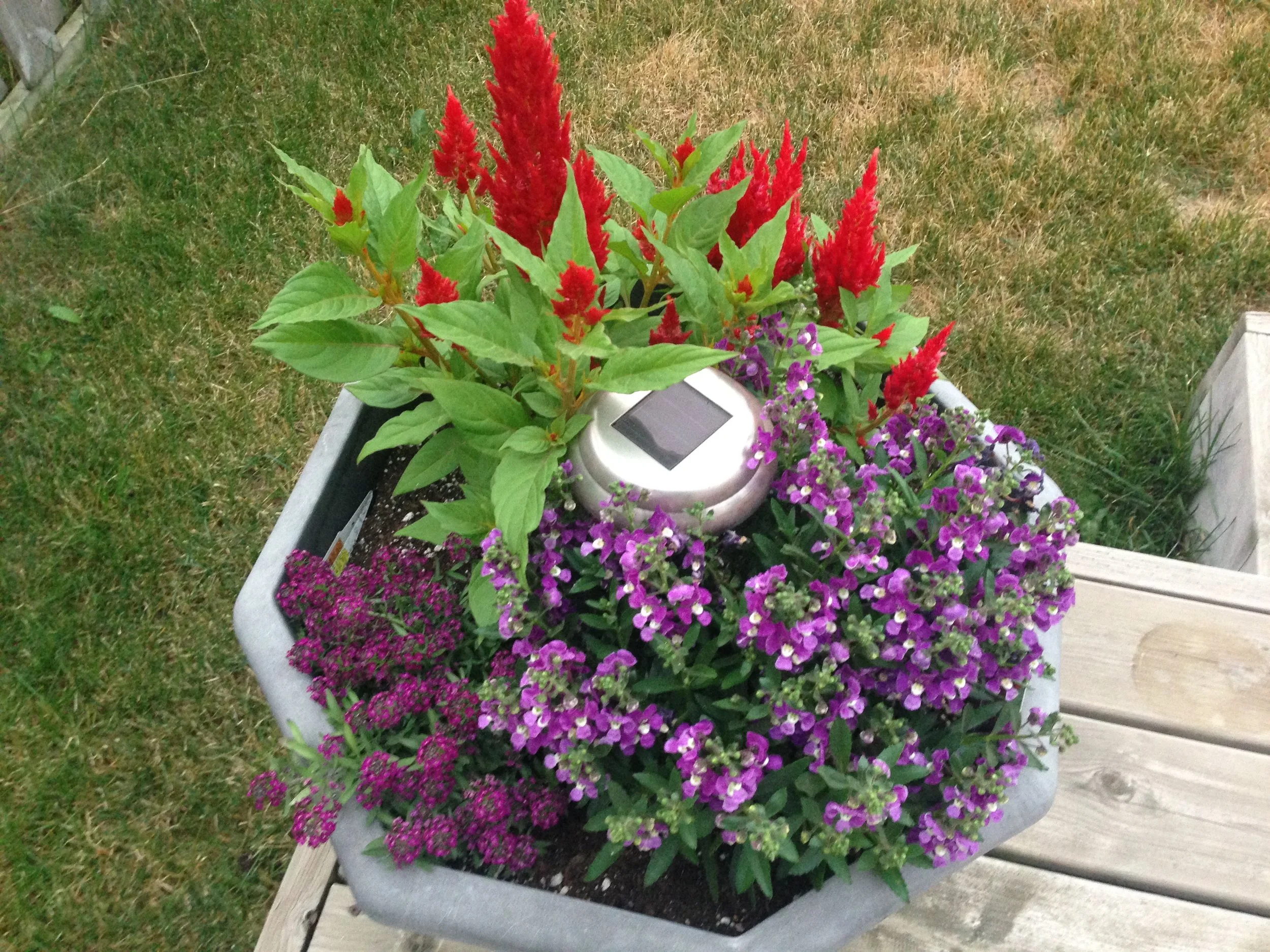 Flower Power