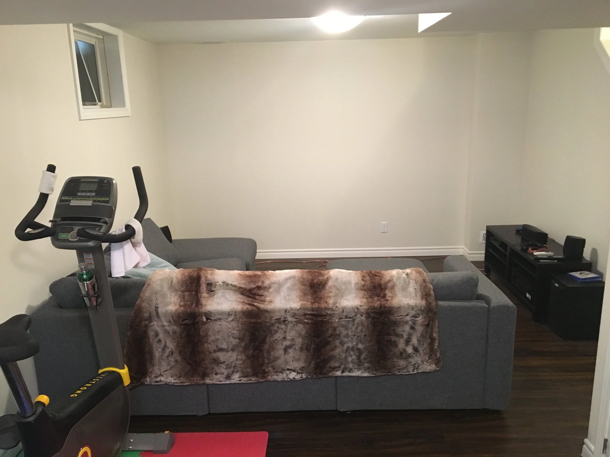 Basement Reno